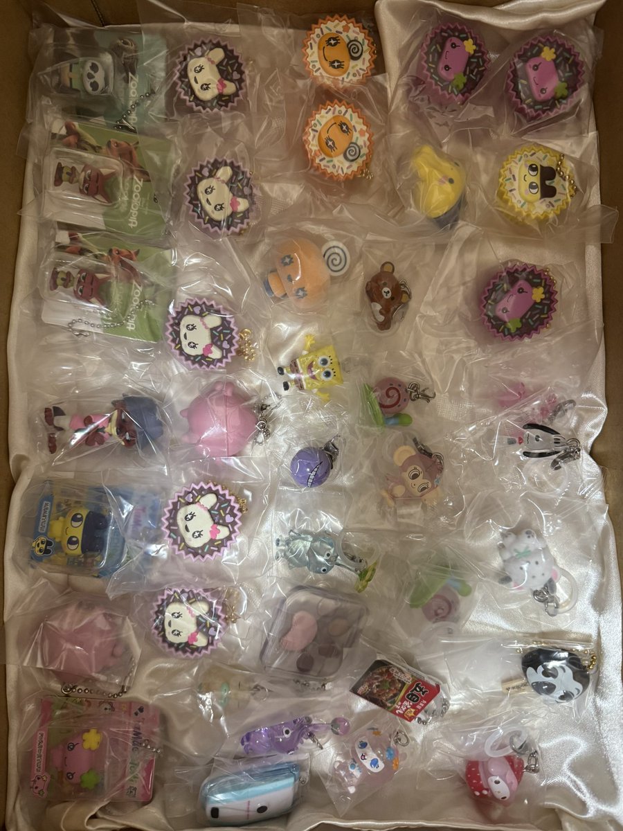 こむぎ🐰🌕 tweet media