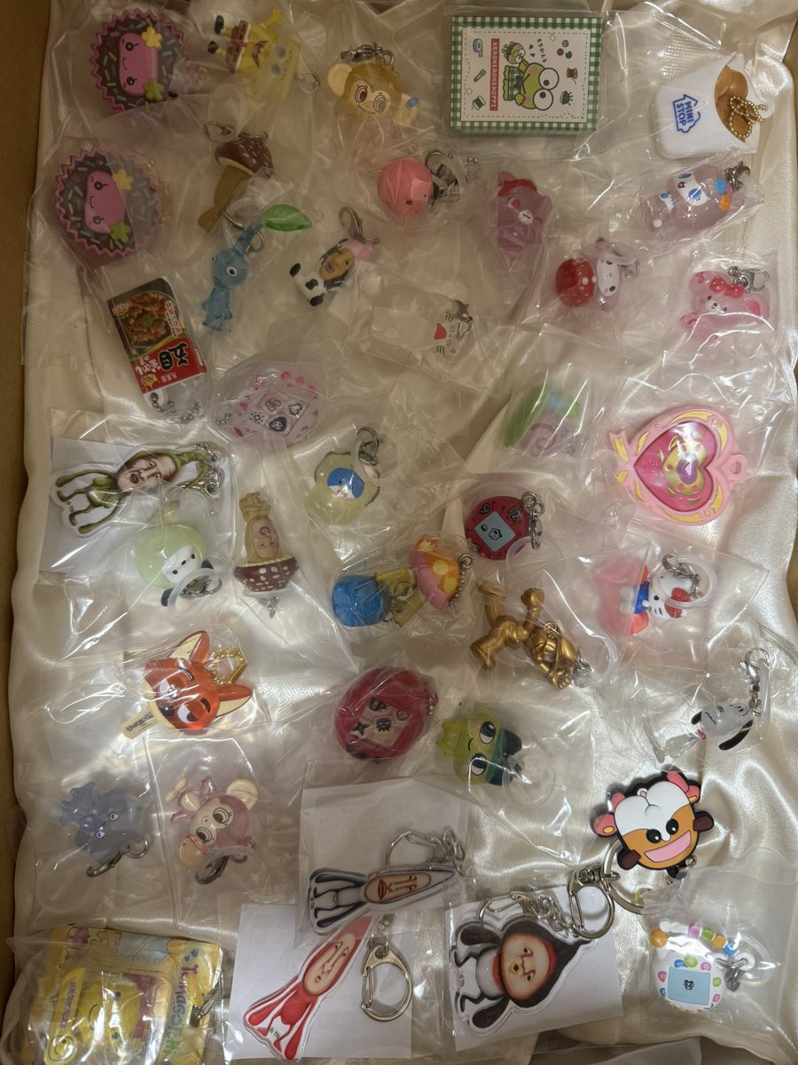 こむぎ🐰🌕 tweet media