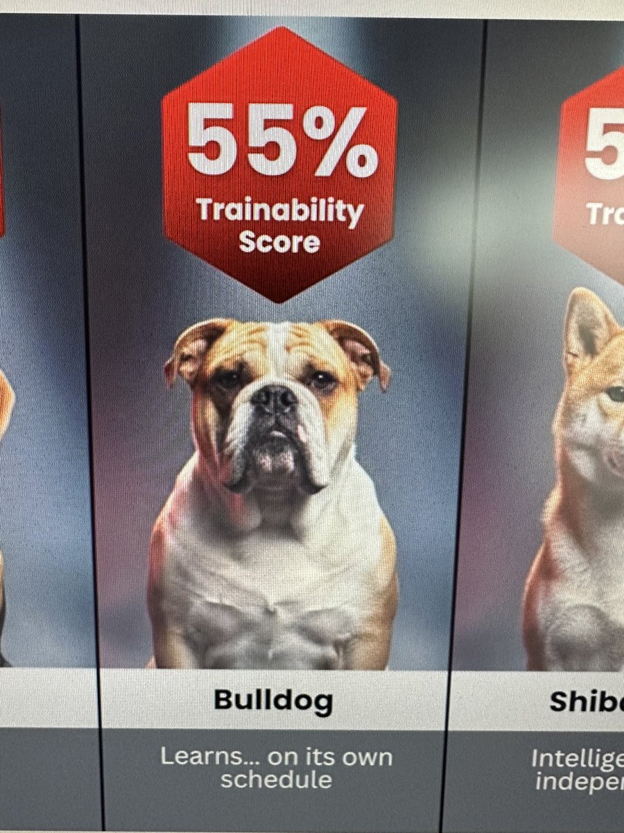 Miley the Amazon tweet media