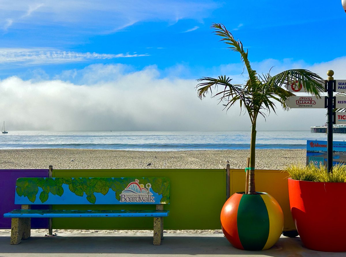 simon tobin tweet media