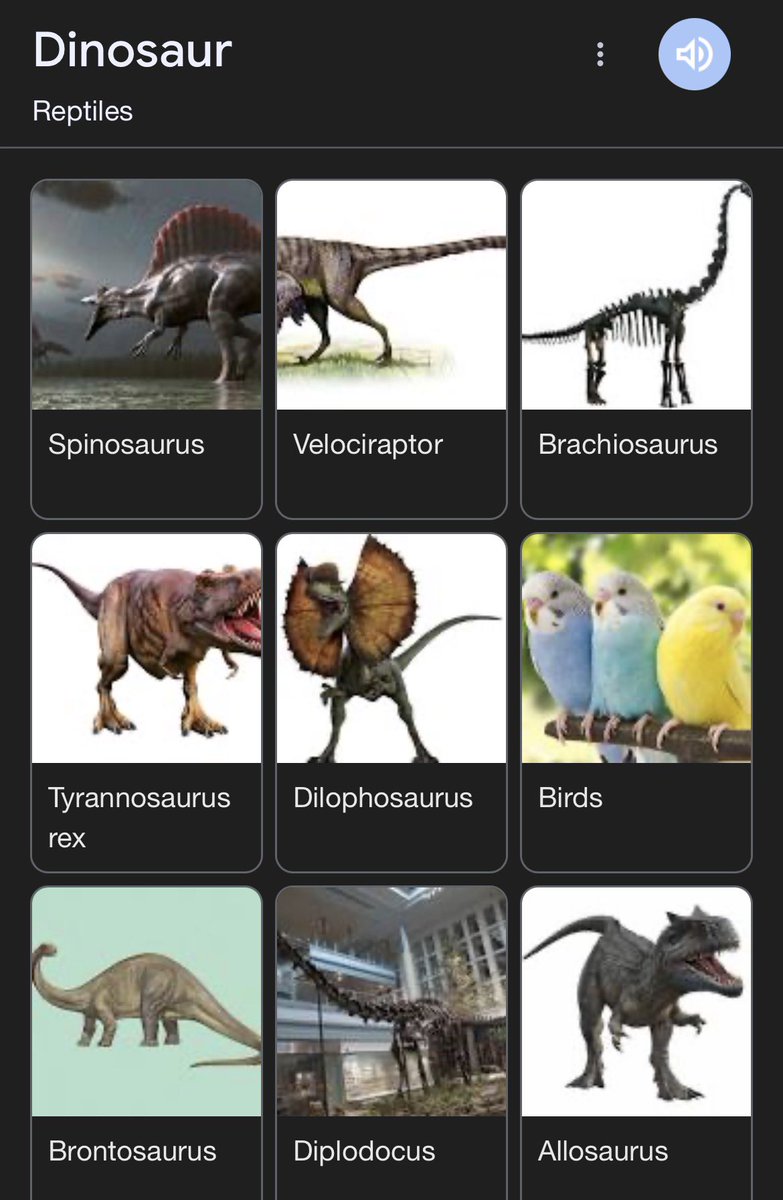 crocodile tweet media