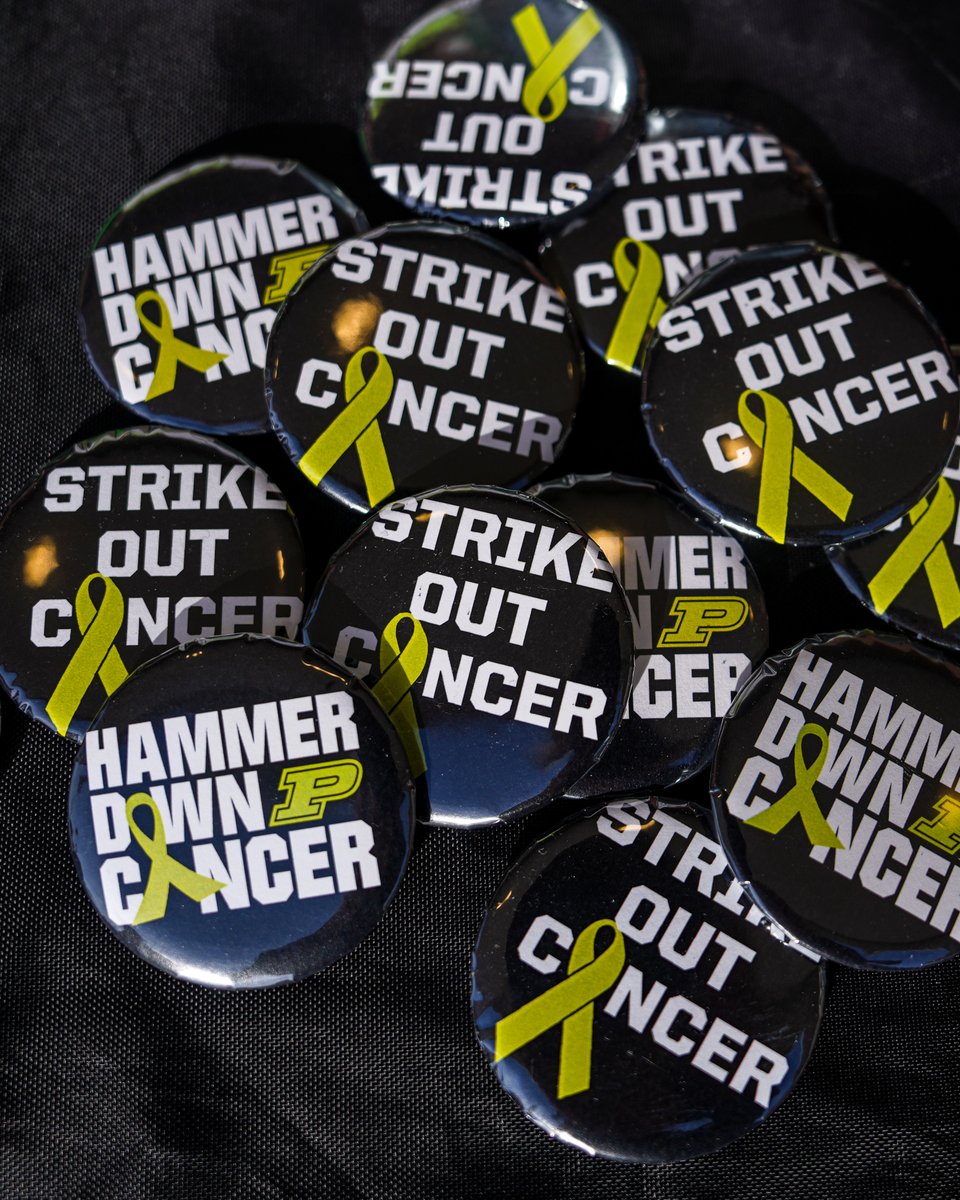 Purdue Softball tweet media