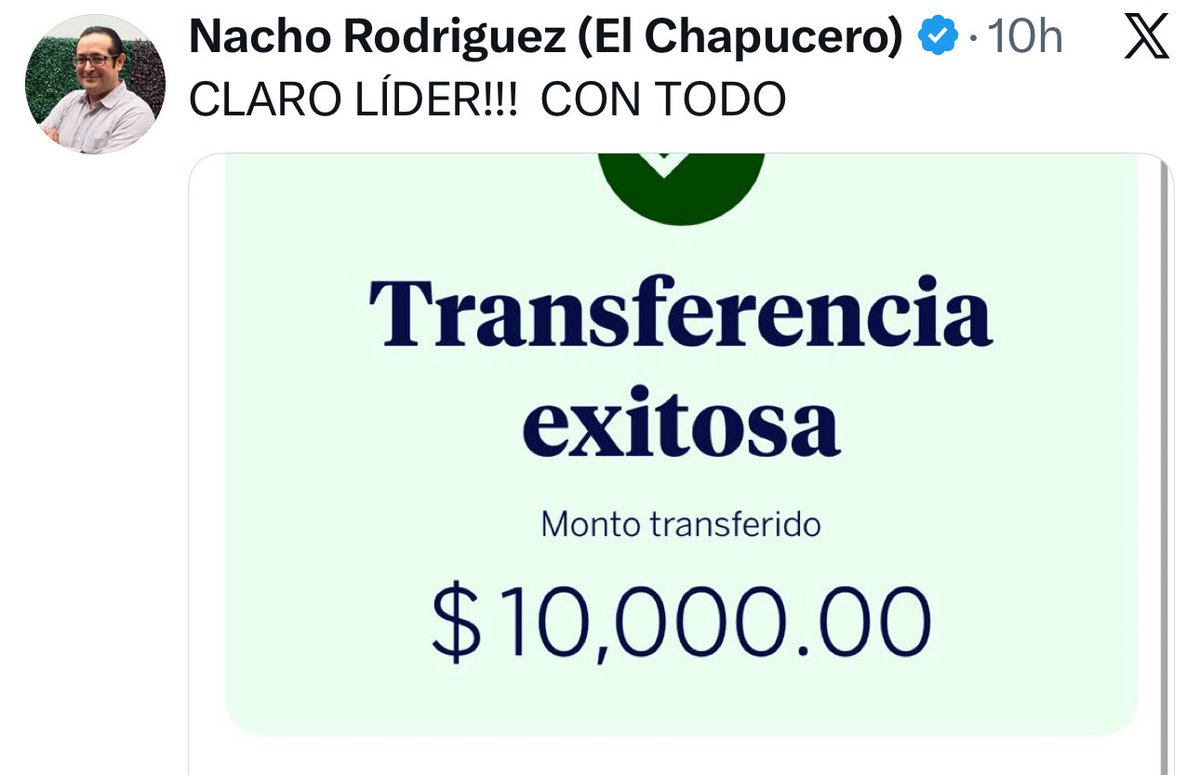 El Necio tweet media