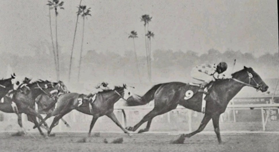 HORSERACING1002's tweet photo. DON B.🇺🇸1965
(FLEET NASRULLAH - EARLY FRAMES BY PRINCE JOHN)#DonB
B/ Mr. & Mrs. H. B. Taylor (Ca) March 19, 1965
O/ Donald B. Wood
24-10-7-1---$225,900
Bay Meadows Juvenile Championship, California Breeders Champion S, Portola S, San Mateo S, Westchester S, San Miguel S,
2nd Burlingame S, California Derby, San Felipe H, San Vicente S, Santa Anita Derby,
3rd San Jacinto S,
ETR Hollywood 6f 1,08,20
Stood Mira Loma Farm🇺🇸, Sired B Elite, B Invincible, B Thoughtful, Battery E, Bonbonaire, Capt Don, Corvettin, Delinda Sue, Don Alberto, Don F, Doña Michelle, Doncareer, Fancy Miss, Granja Suerte, Khalidon, Last Don B, Morrys Champ, My Donna B, O Big Al, Prince Don B, Royal Donna, Santa Rosa Prince, Shantin O, The Argyle Kid, To B Or Not, Truffles, Variety Express,