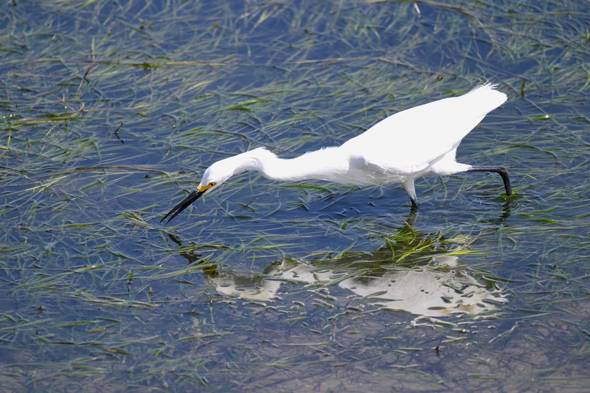 Mark Johnsen tweet media