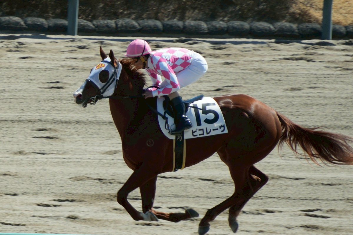 ピコレーシング tweet media