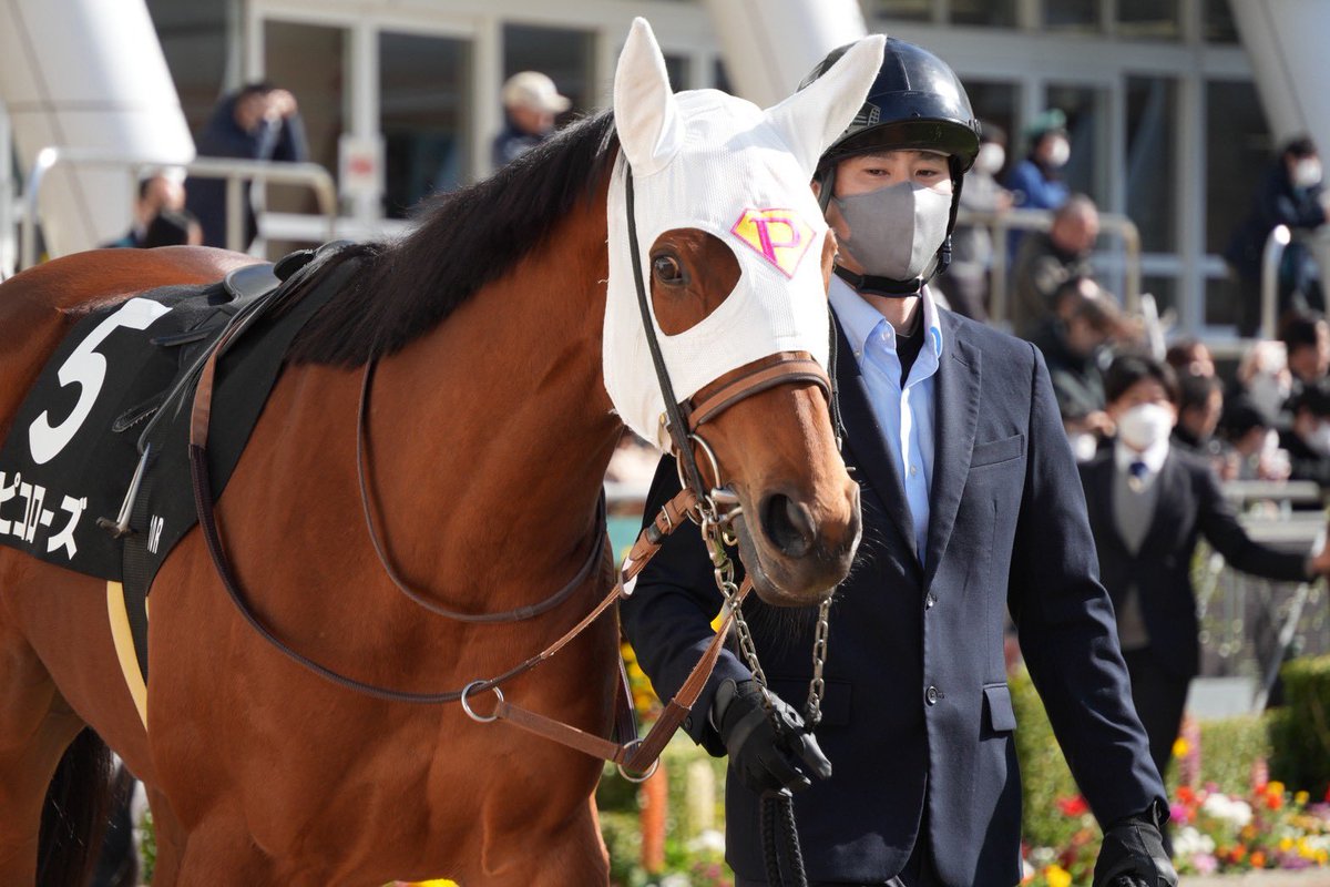 ピコレーシング tweet media