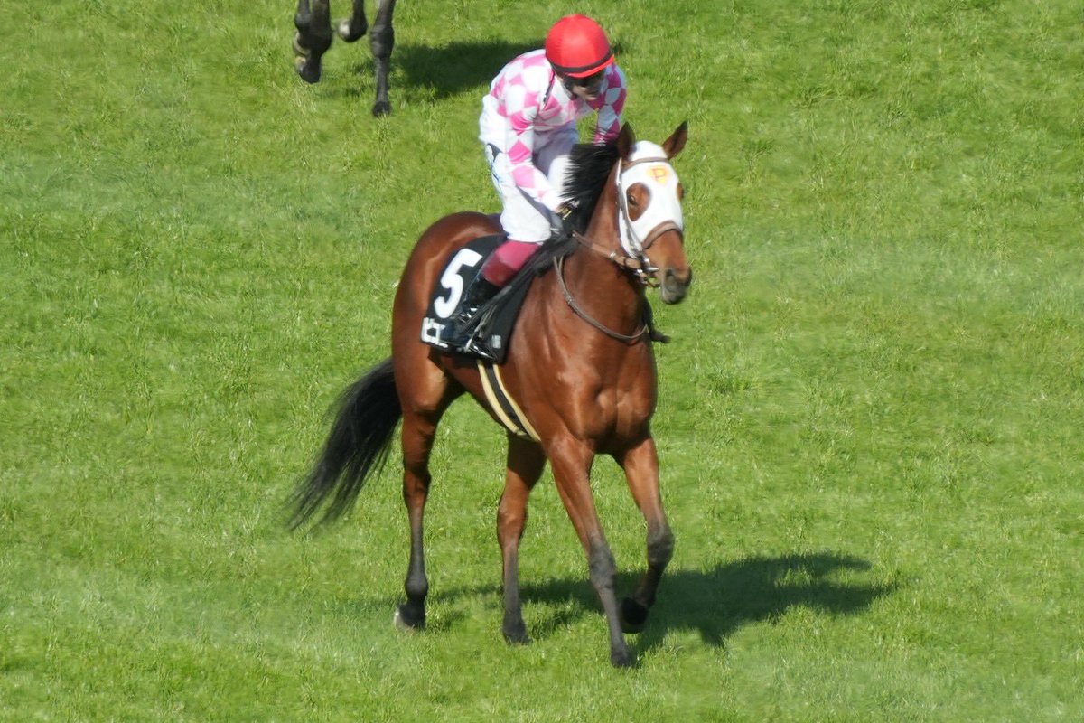 ピコレーシング tweet media