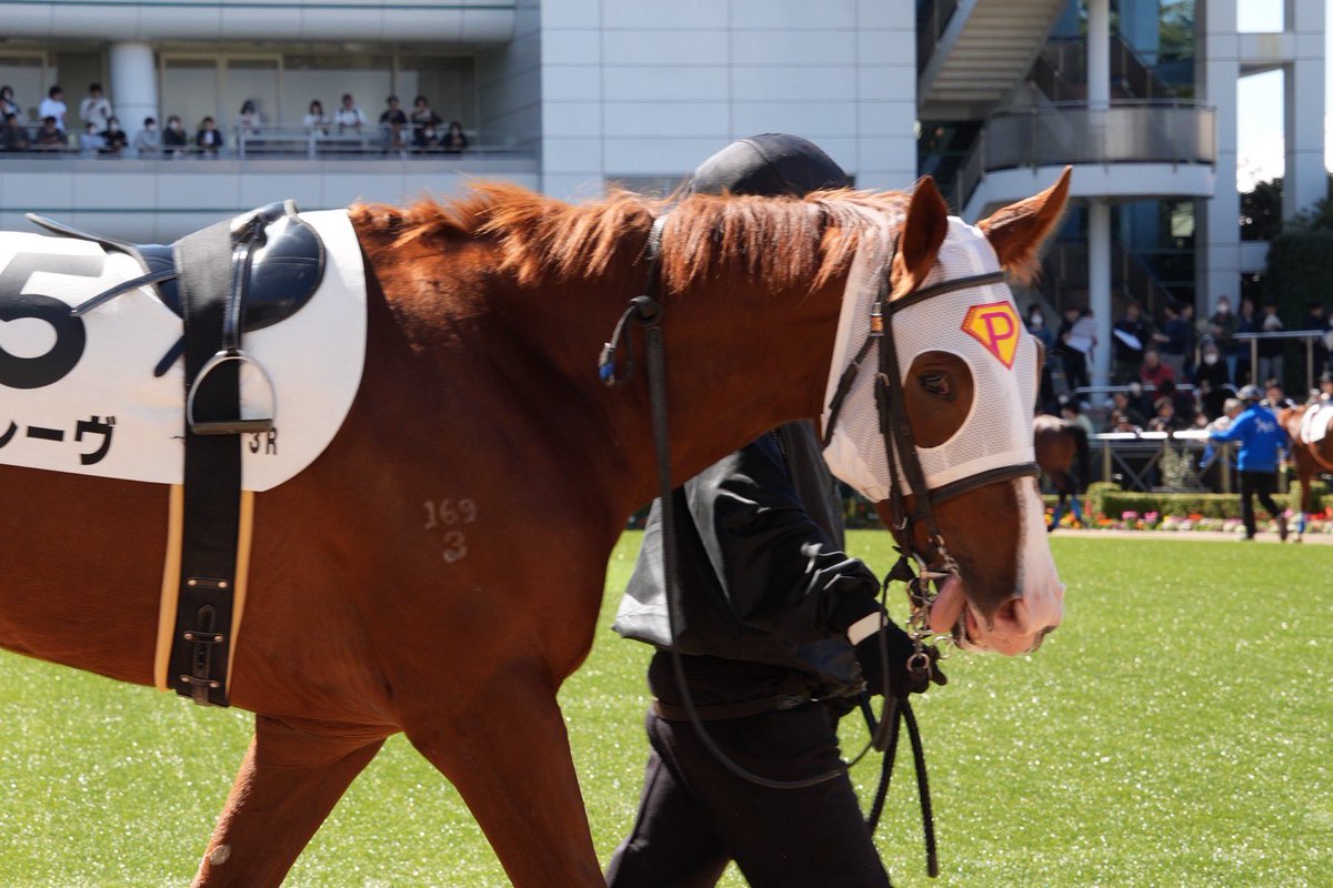 ピコレーシング tweet media