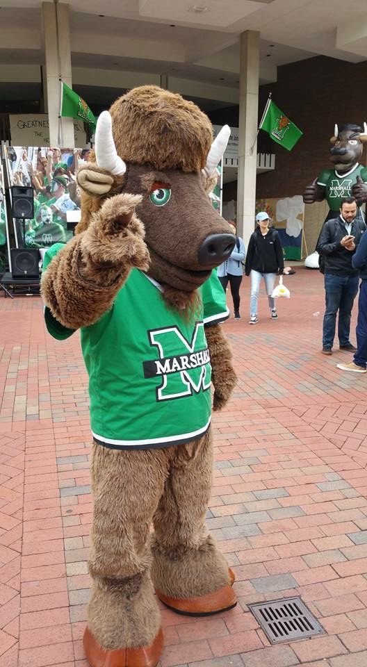 Rahiemsaunders1's tweet photo. Marshall offered!!!!
@ChadSimmons_ @CoachSEllis @coach_shank @CoachRuggles @CoachDDudley @DemetricDWarren @CoachGreen93 @CoachNGodd @hardingharper @coachmhatcher @TomLoy247 @RonnieFouch @DLcoachbeck https://t.co/RUbGogTINS