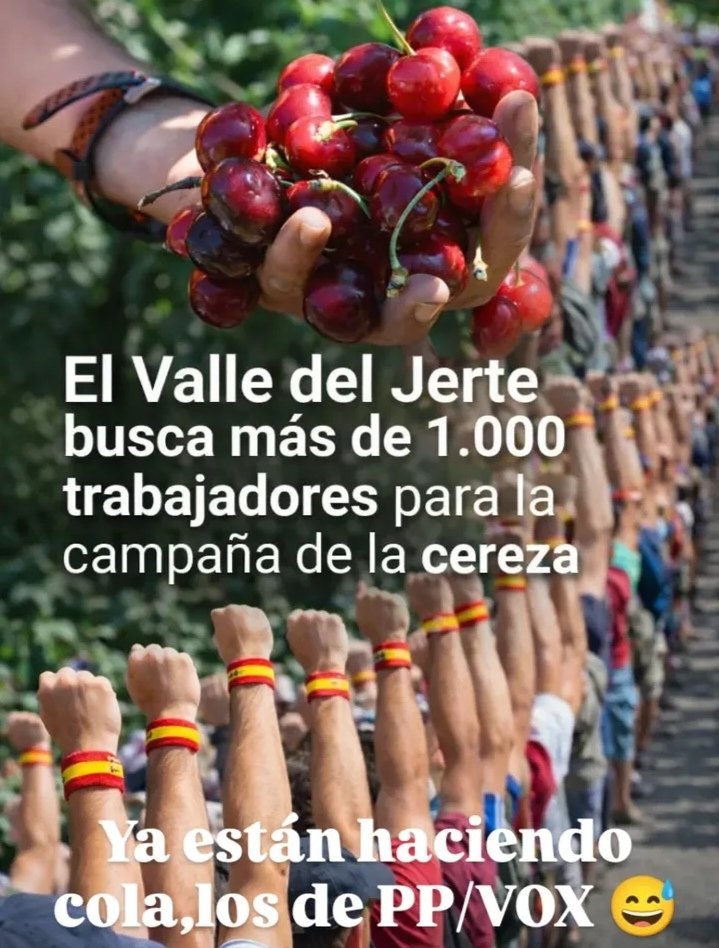 Ribadense🌹iz❤️ tweet media