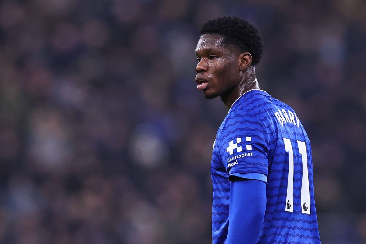 𝗧𝗵𝗲 𝗧𝗼𝗳𝗳𝗲𝗲 𝗕𝗹𝘂𝗲𝘀 tweet media