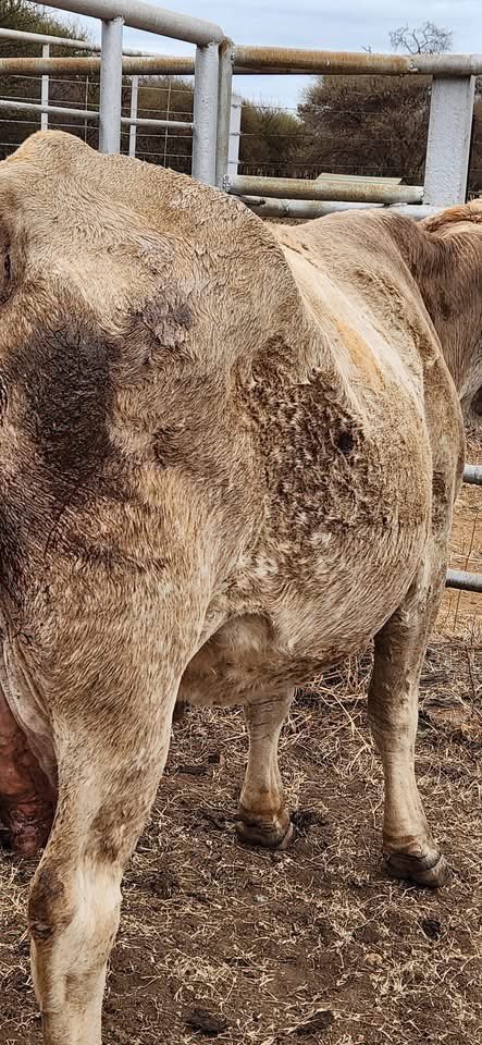 Urban Farmette tweet media