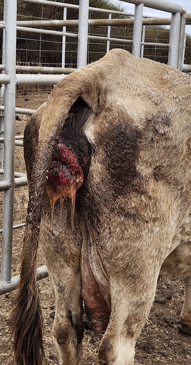 Urban Farmette tweet media