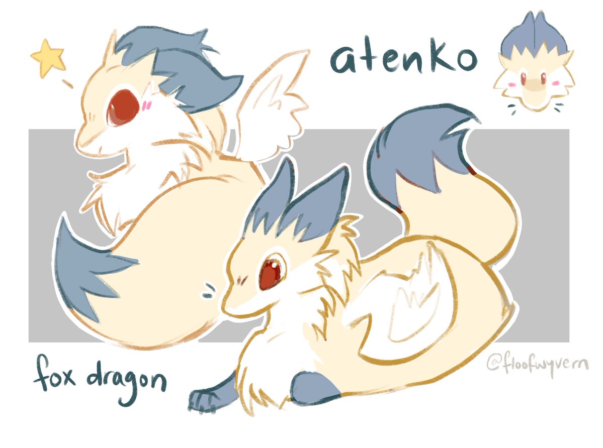 ⭐️ Floof Wyvern 🐉 tweet media