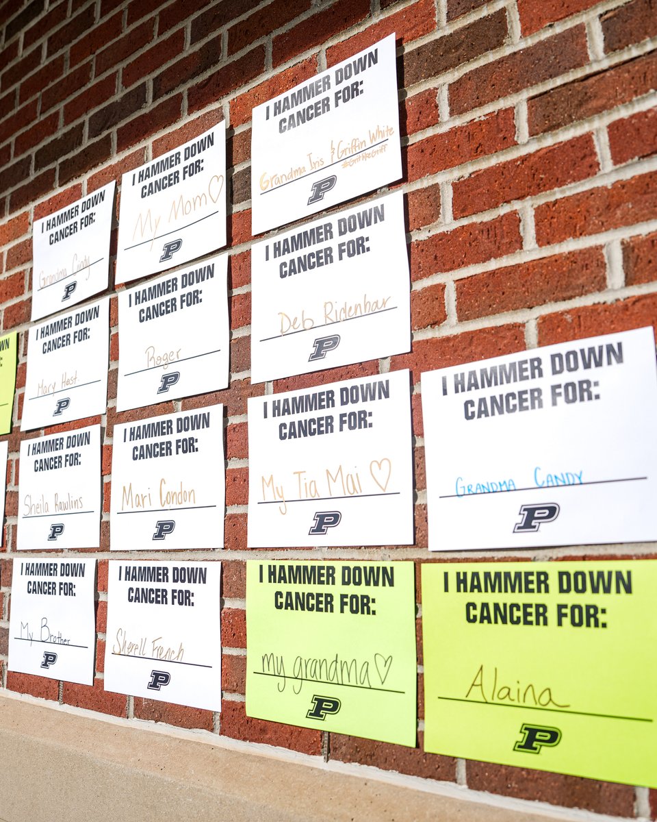 Purdue Softball tweet media