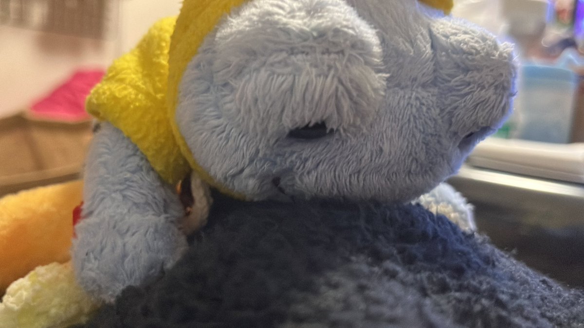 ピク♡旅 tweet media