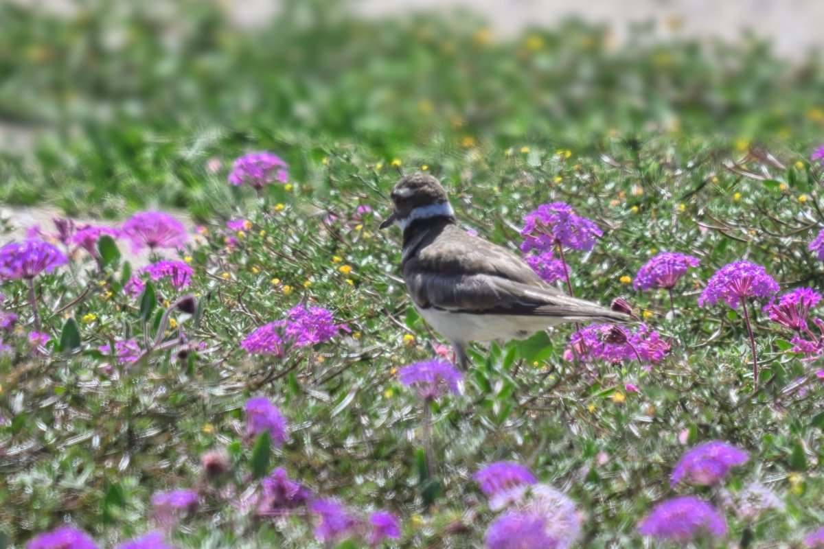 Mark Johnsen tweet media