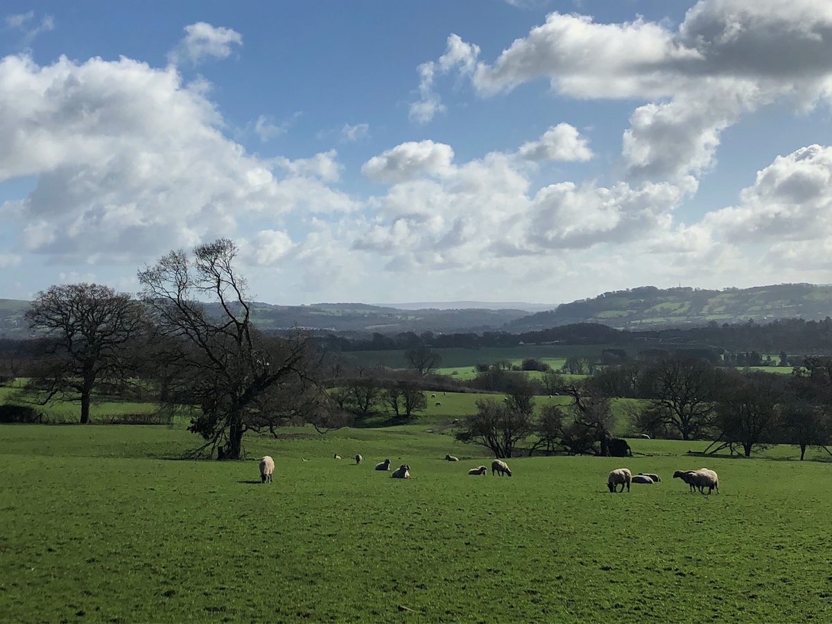 Adam Fryda tweet media