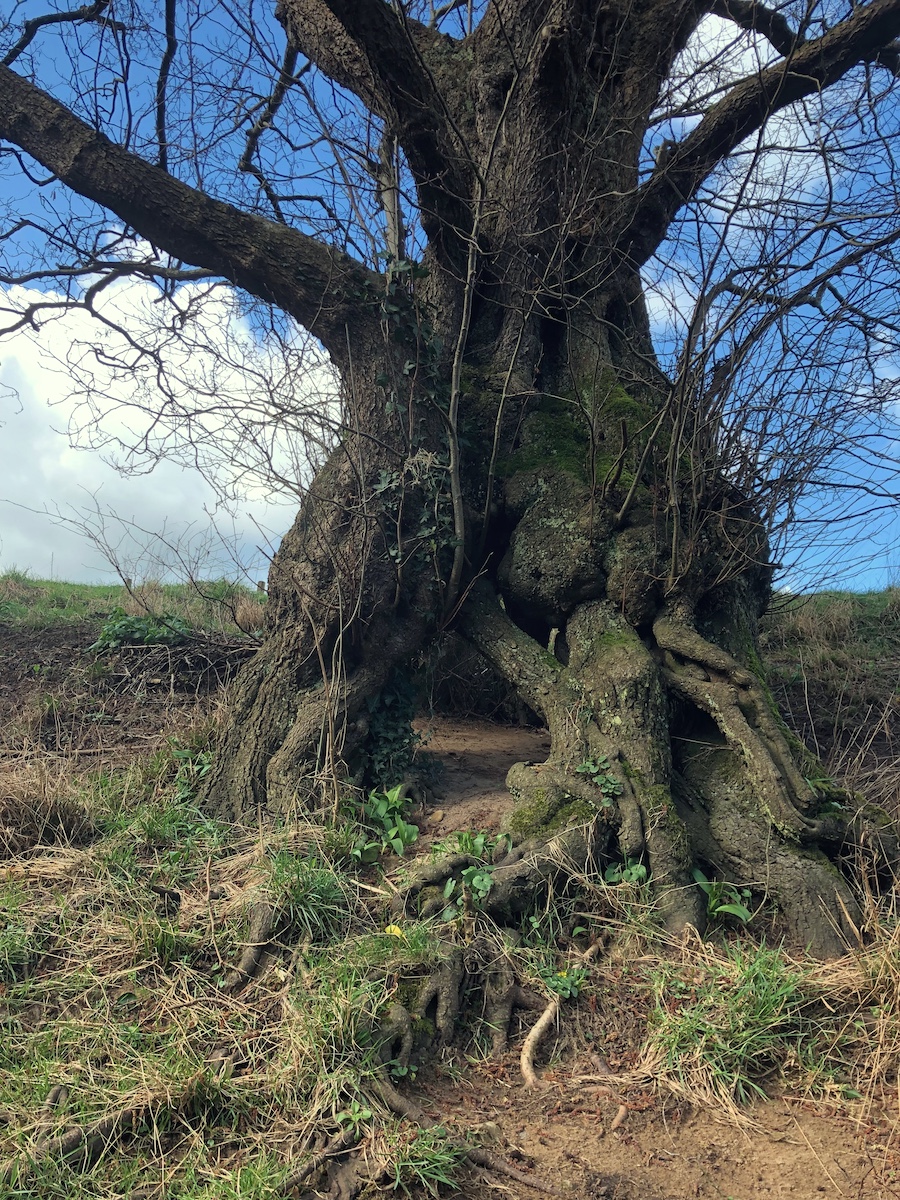 Adam Fryda tweet media