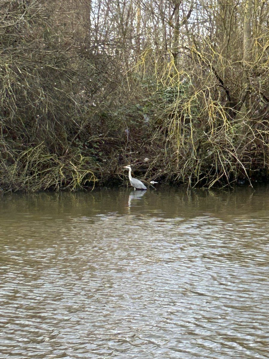 Peter Edwards tweet media