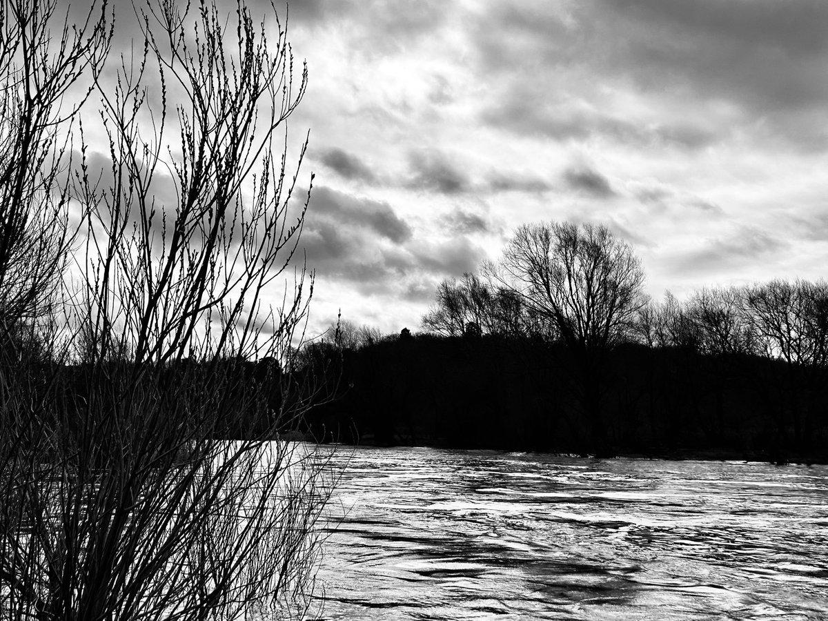 Peter Edwards tweet media