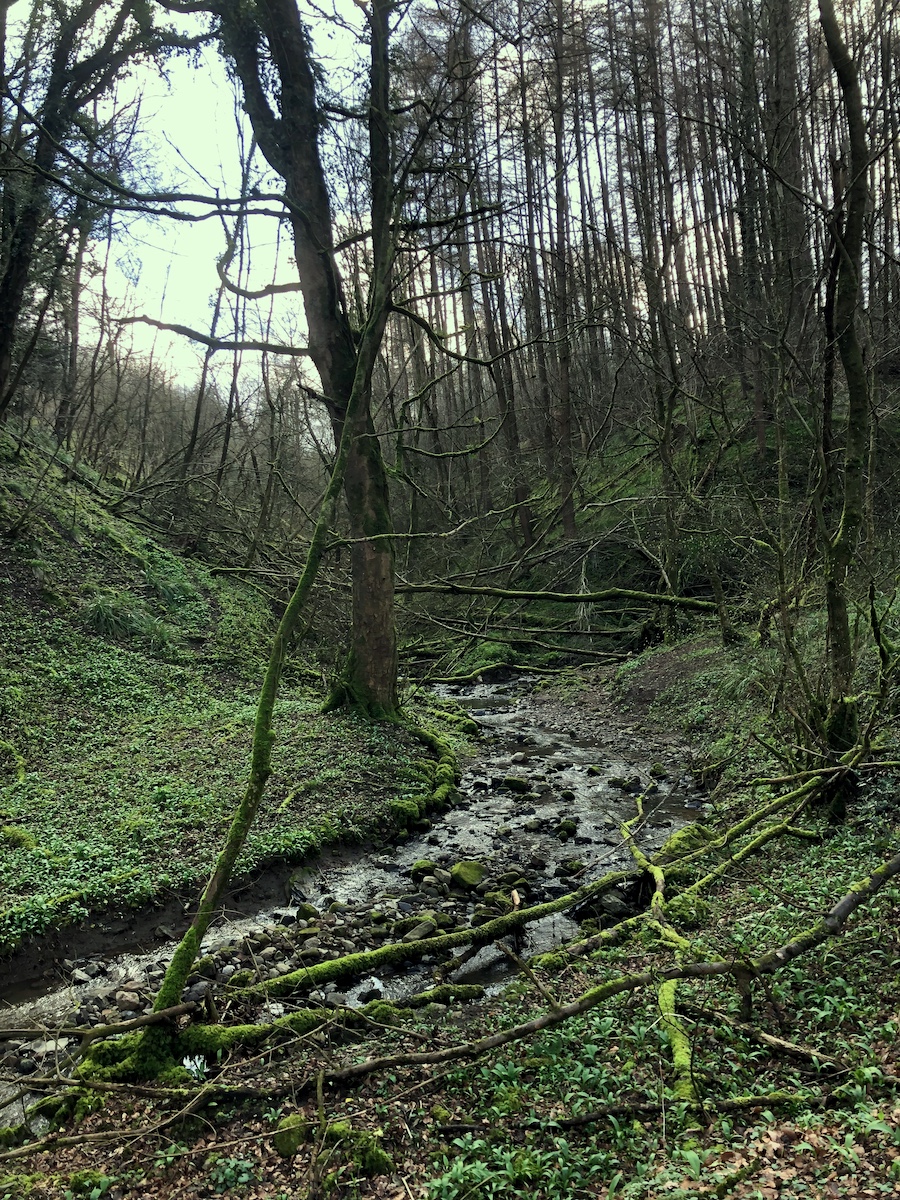 Adam Fryda tweet media