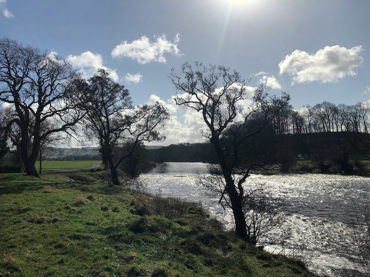 Adam Fryda tweet media