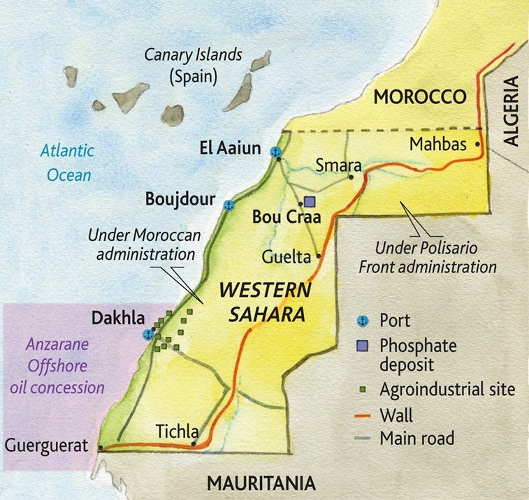 Néstor Siurana tweet media