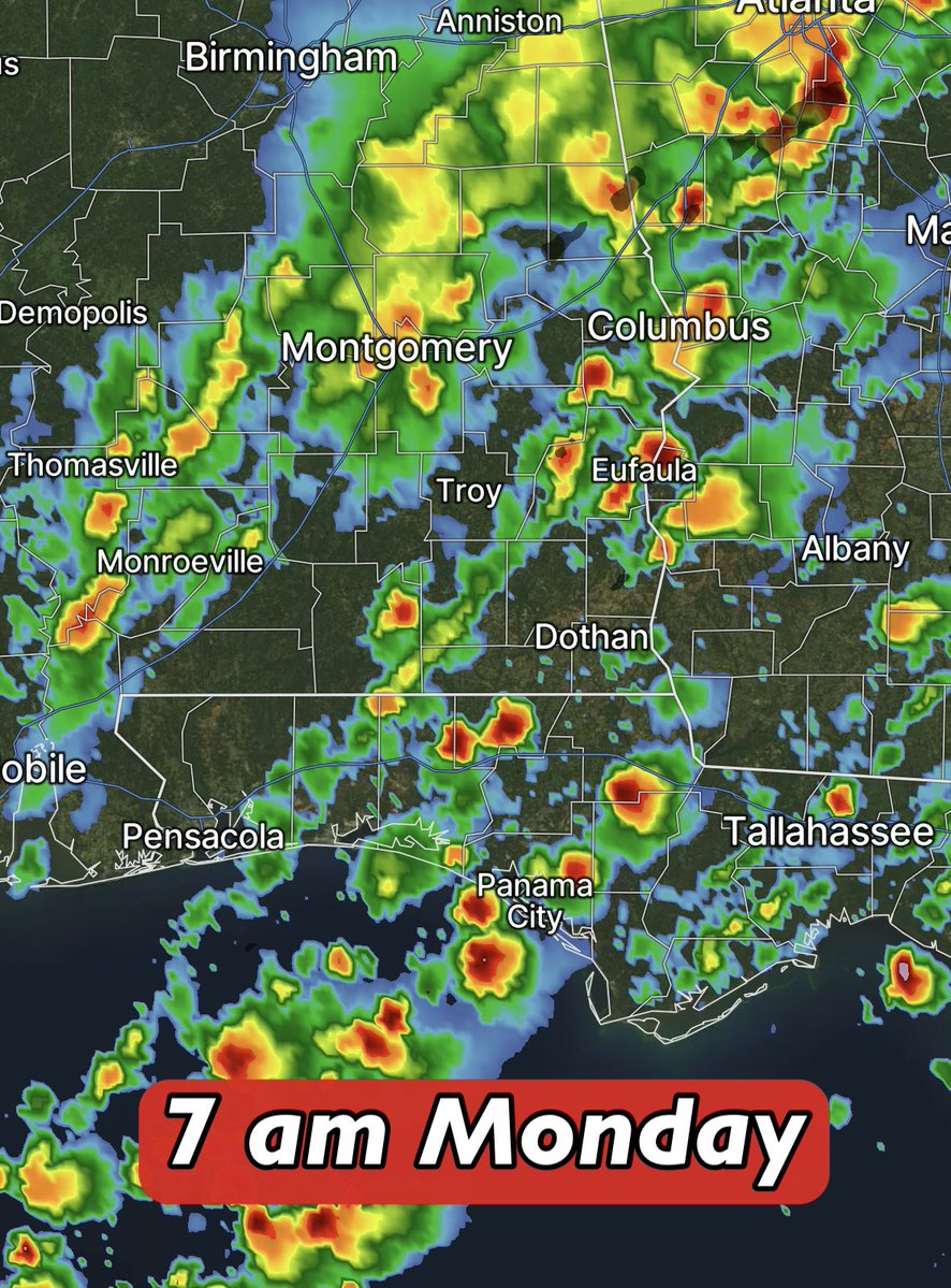 David Paul tweet media