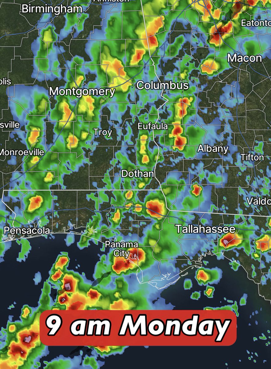 David Paul tweet media