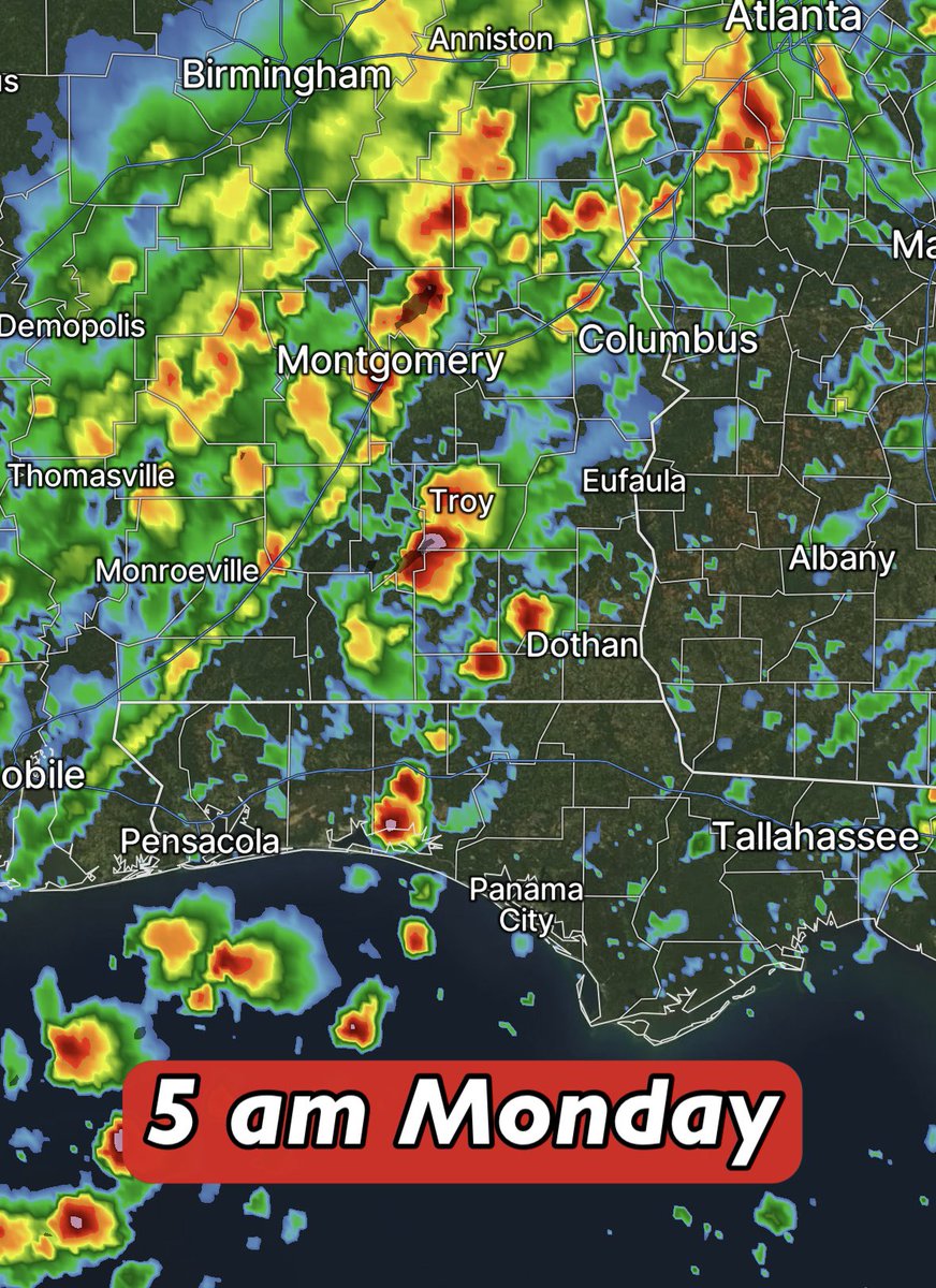 David Paul tweet media