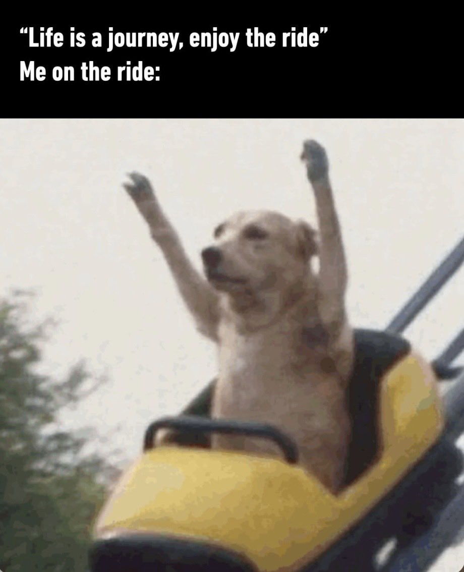 No matter what you’re going through. Get a workout in, it will make you feel better 💪🏻 

#workout #movementismedicine