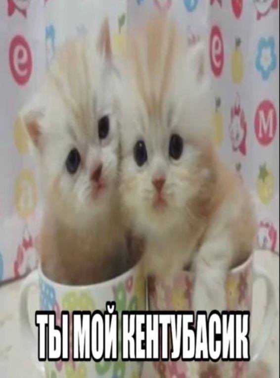 Вечер вкус💅 tweet media