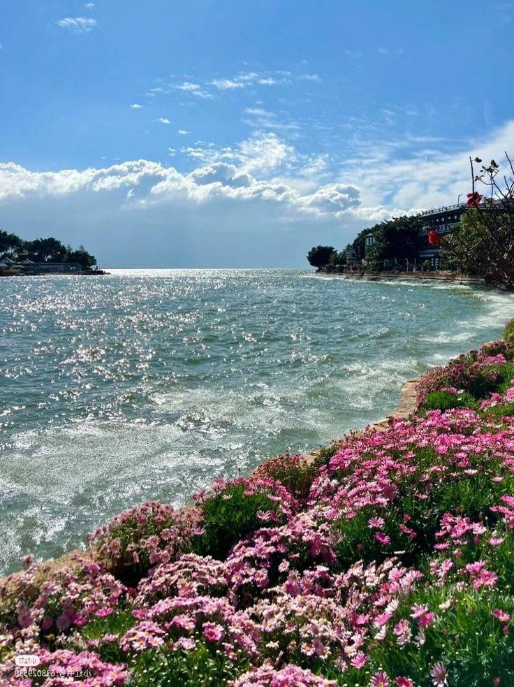 naturaholic's tweet photo. sea with a view https://t.co/Awb3qfwGBy