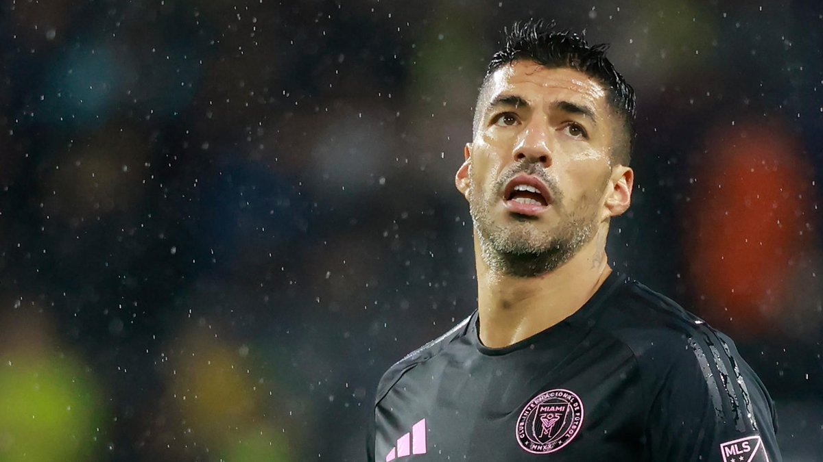 Daniel Solana tweet media