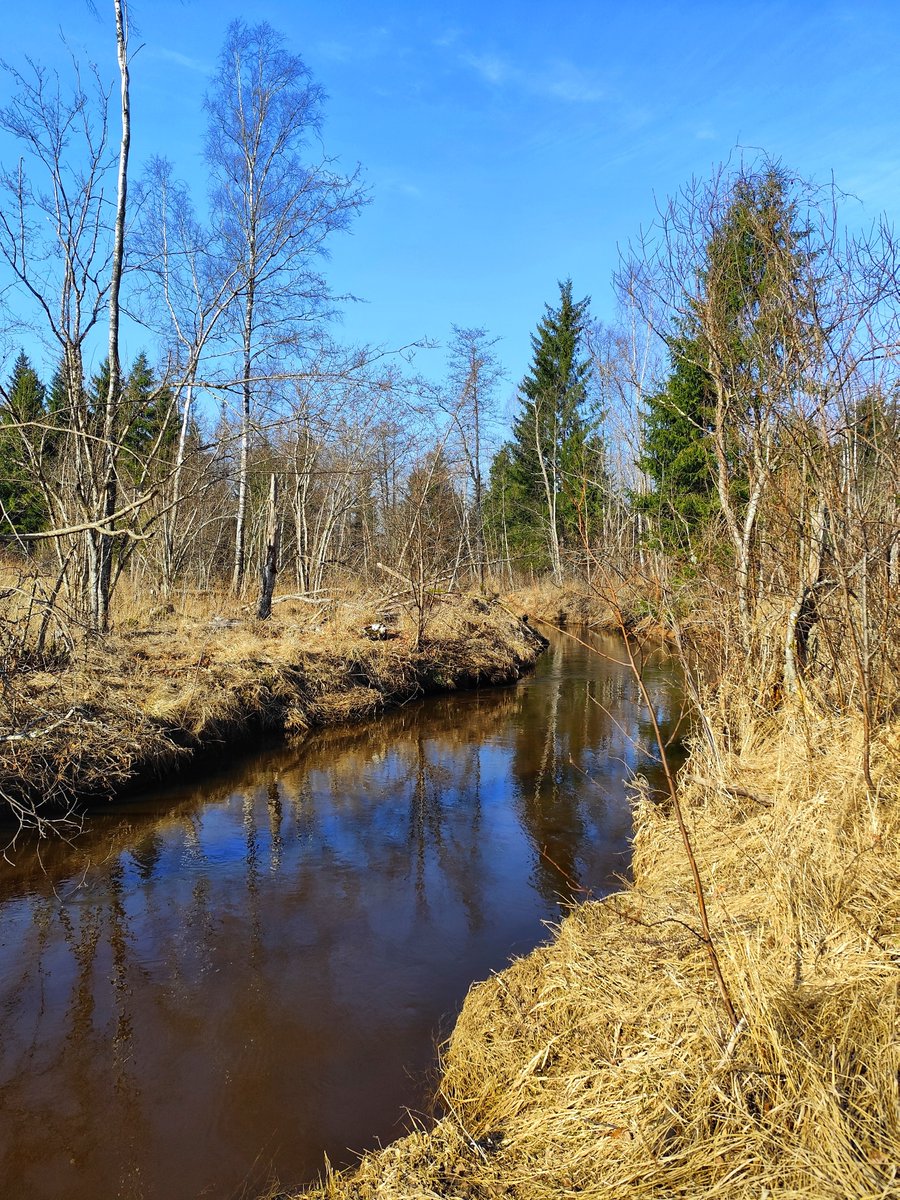 Joonas Okas tweet media