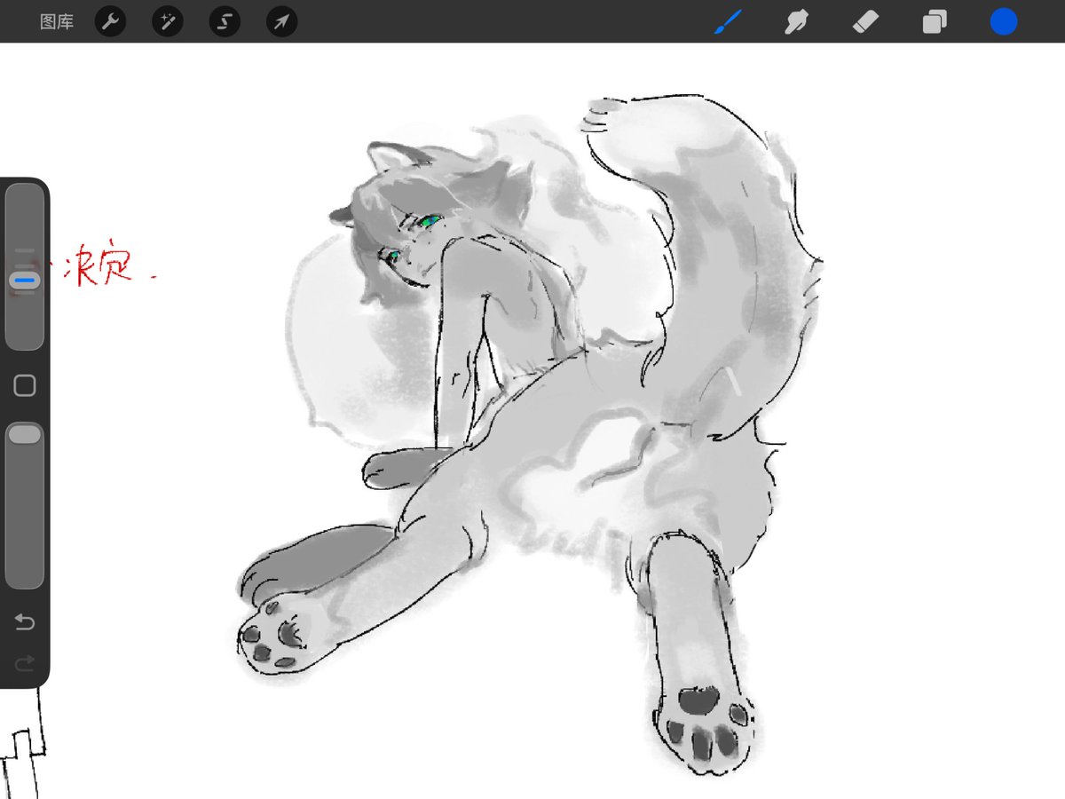 知舟不是船 tweet media