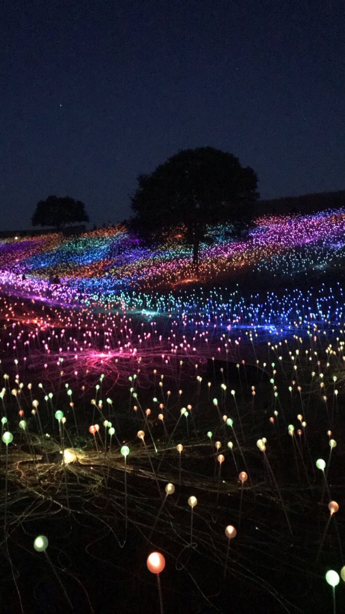 Aesthetics tweet media