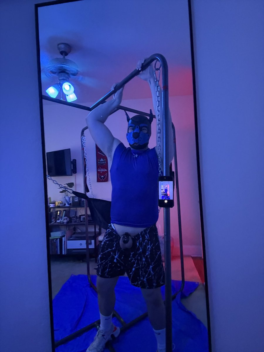 Pup Achilles tweet media