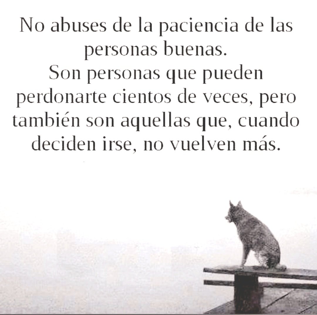 Tancerca (@tancerca_) on Twitter photo 