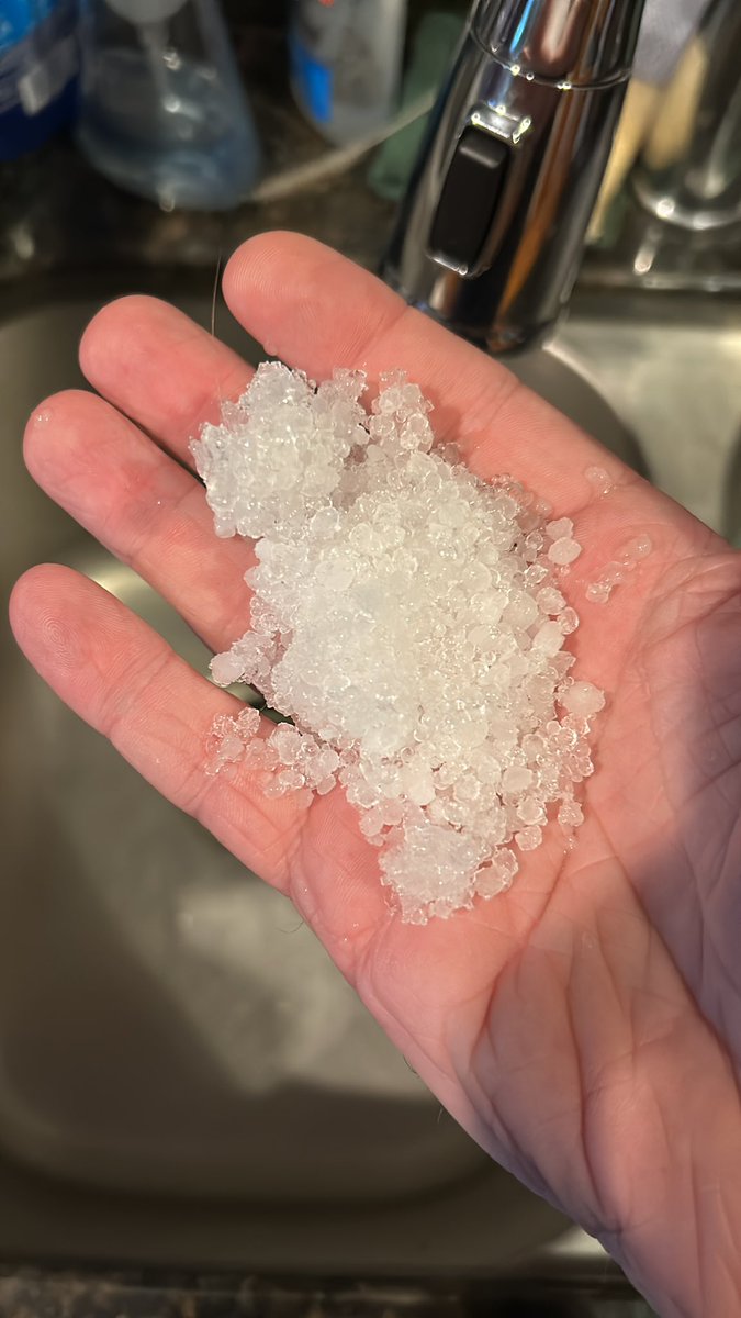 Unrated No Check Bob Lesh tweet media