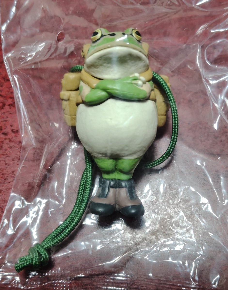 たぶんENO tweet media