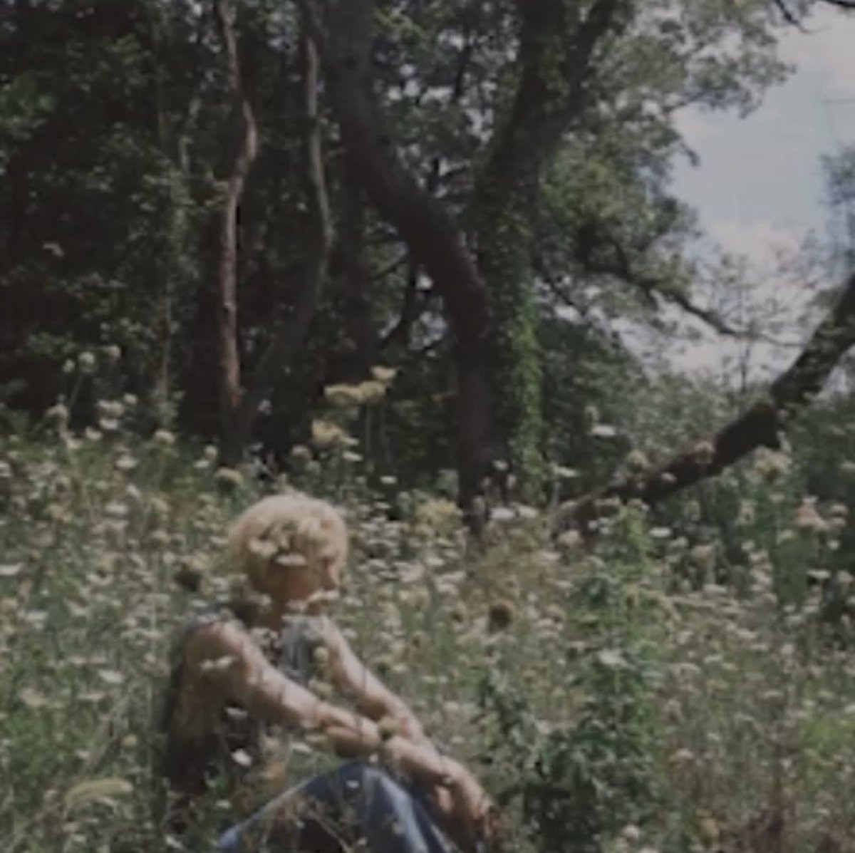 sungho loops tweet media