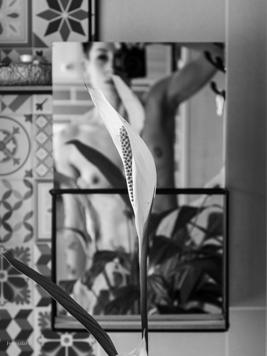 FotogalaFit's tweet photo. El reflejo me devuelve lo que soy: elegancia cruda, belleza sin velo.
#BlancoyNegro #Espejo #FlorDeCala #Cala #SelfieEspejo #FotografiaArtistica #BellezaSinVelo #EleganciaCruda #FotografiaSensual #ArteNude #BlackAndWhite #MirrorSelfie #FineArtPhotography #SensualArt https://t.co/RKl1p0cgmZ