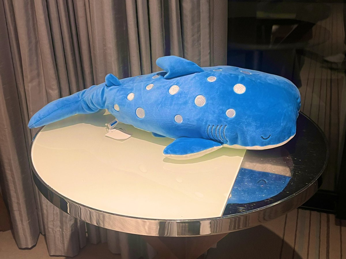 大聖くんが買ったような大きいサイズのはさすがに買えなかった