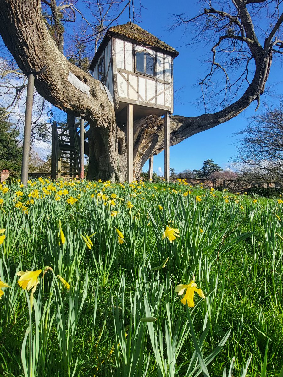 Pitchford Estate tweet media