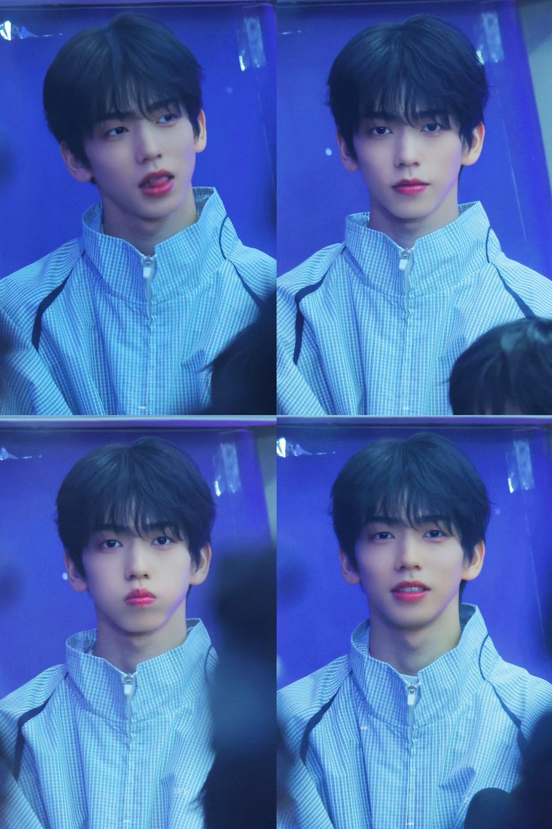 돌고래 해민단 tweet media