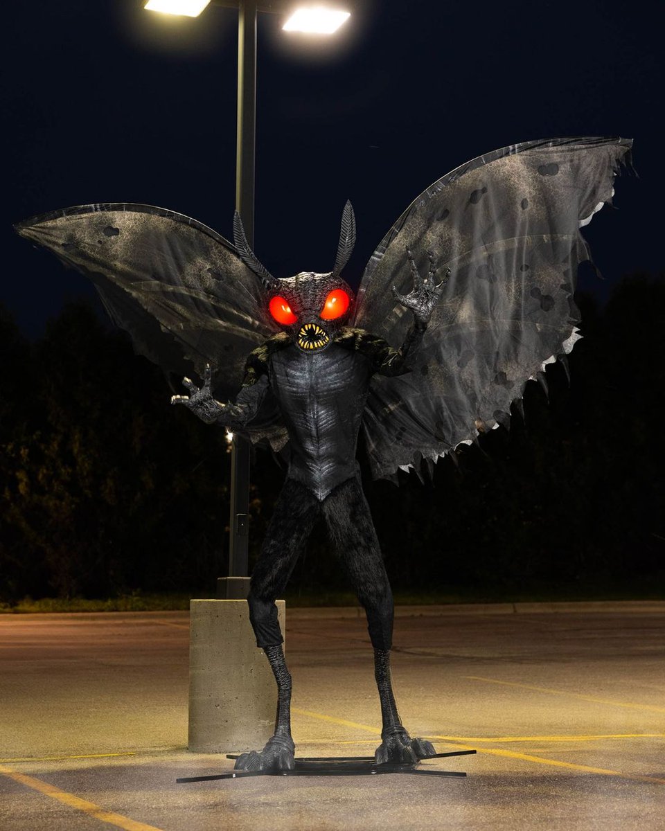 Halloween Costumes tweet media