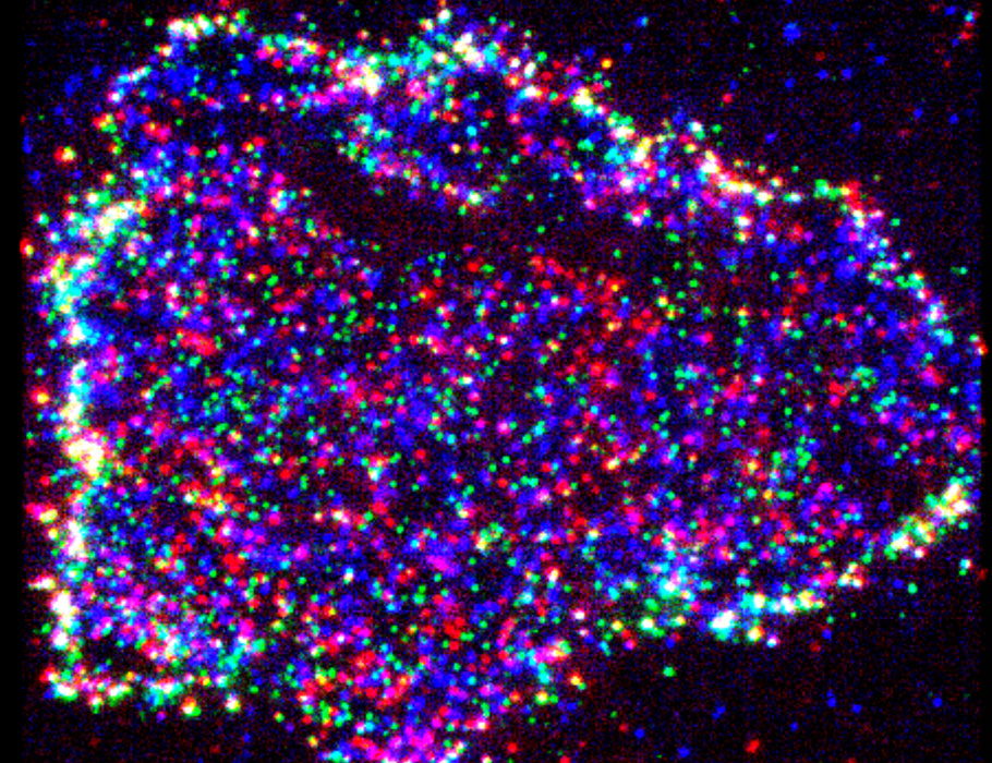 Science Signaling tweet media